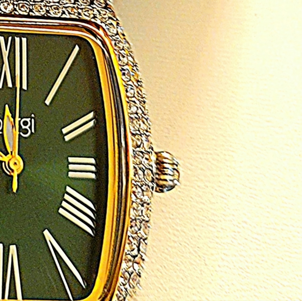 Burgi woman's watch,NWT,OS, genuine leather,CZ,Stainless Steel.